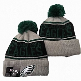 Philadelphia Eagles Team Logo Knit Hat YD (8),baseball caps,new era cap wholesale,wholesale hats
